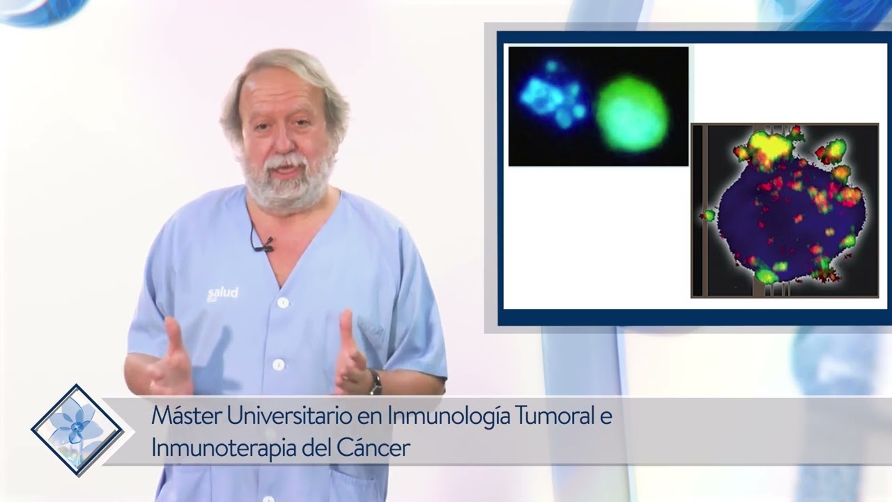 Máster en Inmunología Tumoral e Inmunoterapia del Cáncer